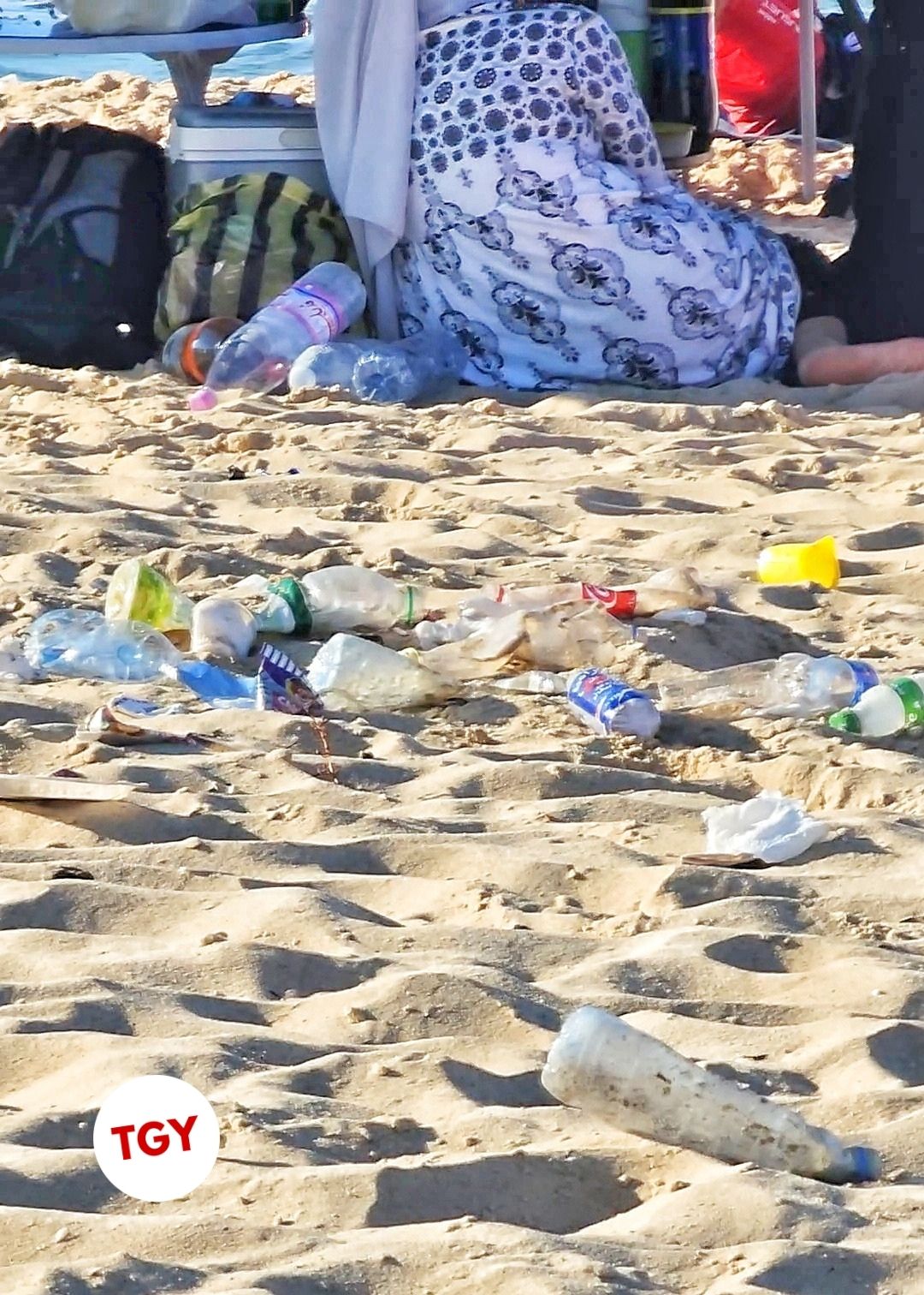 Pourquoi rendre payant l’accès aux plages les plus visitées en Algérie ?